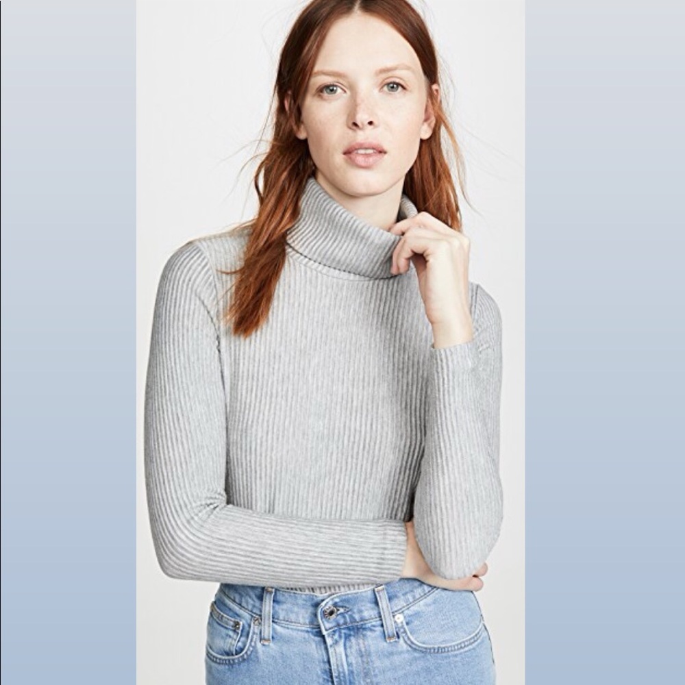 Club Monaco Meredy Turtleneck Sweater